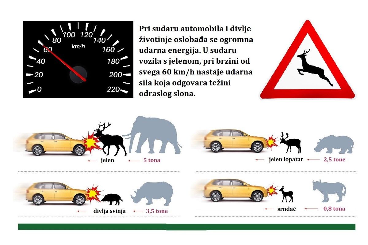 Počelo zimsko računanje vremena, dani su kraći, a veća opasnost od susreta s divljači